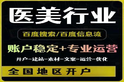 百度竞价广告的投放策略与成功案例分析